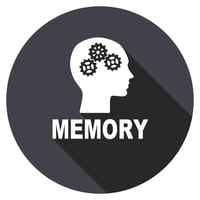 Memory is consolidated during REM sleep