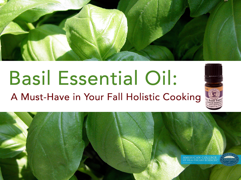 Basil Essential Oil A Must Have in Your Fall Holistic Cooking