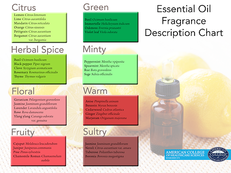 Blending 101: The Art of Pairing Essential Oils Drop by Drop Blending 101: The Art of Pairing Essential Oils Drop by Drop