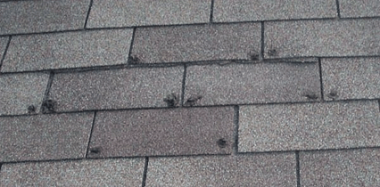 hail_damage.png hail_damage.png