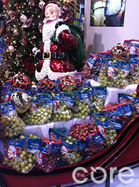 Christmas-Grapes_SM