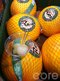 Yellow-Melon_SM