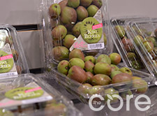 Kiwi Berries Kiwi Berries