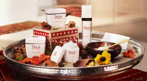 Bewust multifunctioneel Pluche pop Bring Hammam Spa Treatment Home with New TALA from Mr.Steam