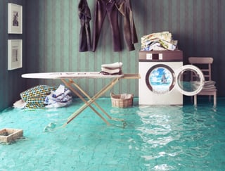 flood.jpg flood.jpg