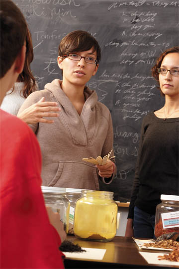 acupuncture doctoral program
