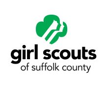 gssc logo gssc logo