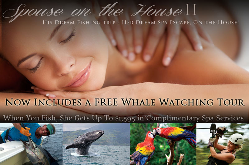 spousehouse2-landing-page spousehouse2-landing-page