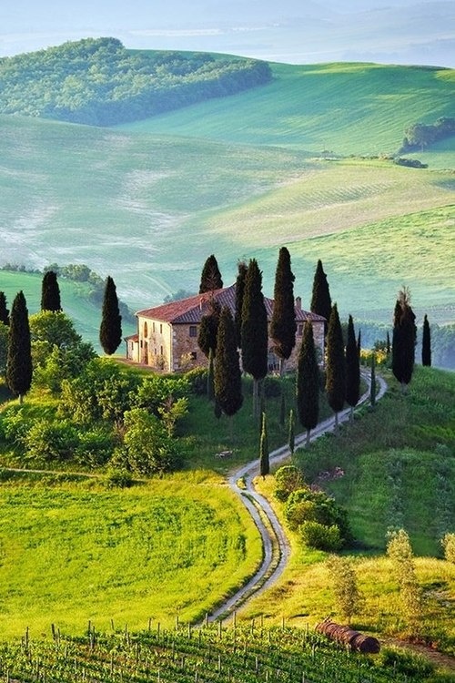 tours in tuscany reviews