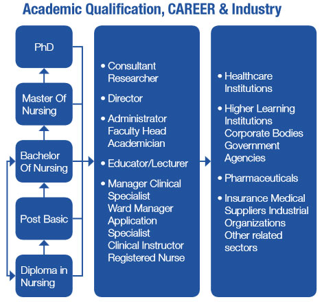 career_pathIMC