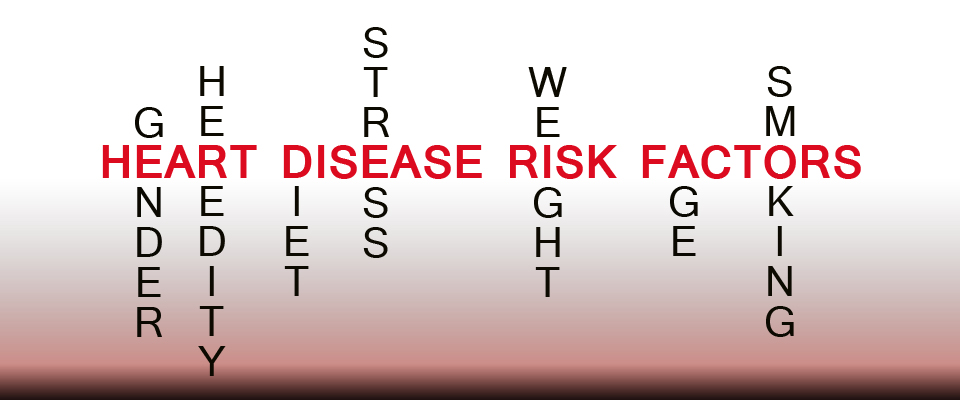 Do You Understand The Symptoms And Risks Of Cardiovascular Disease 