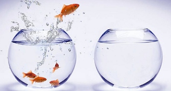 Change Management SBI