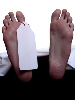 b2b marketing agency dead to sales