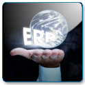 ERP in the palm of your hand