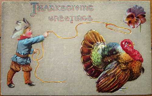 Thanksgiving Week Roundup