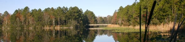 How To Get To Unf Nature Trail How To Get To Unf Nature Trail