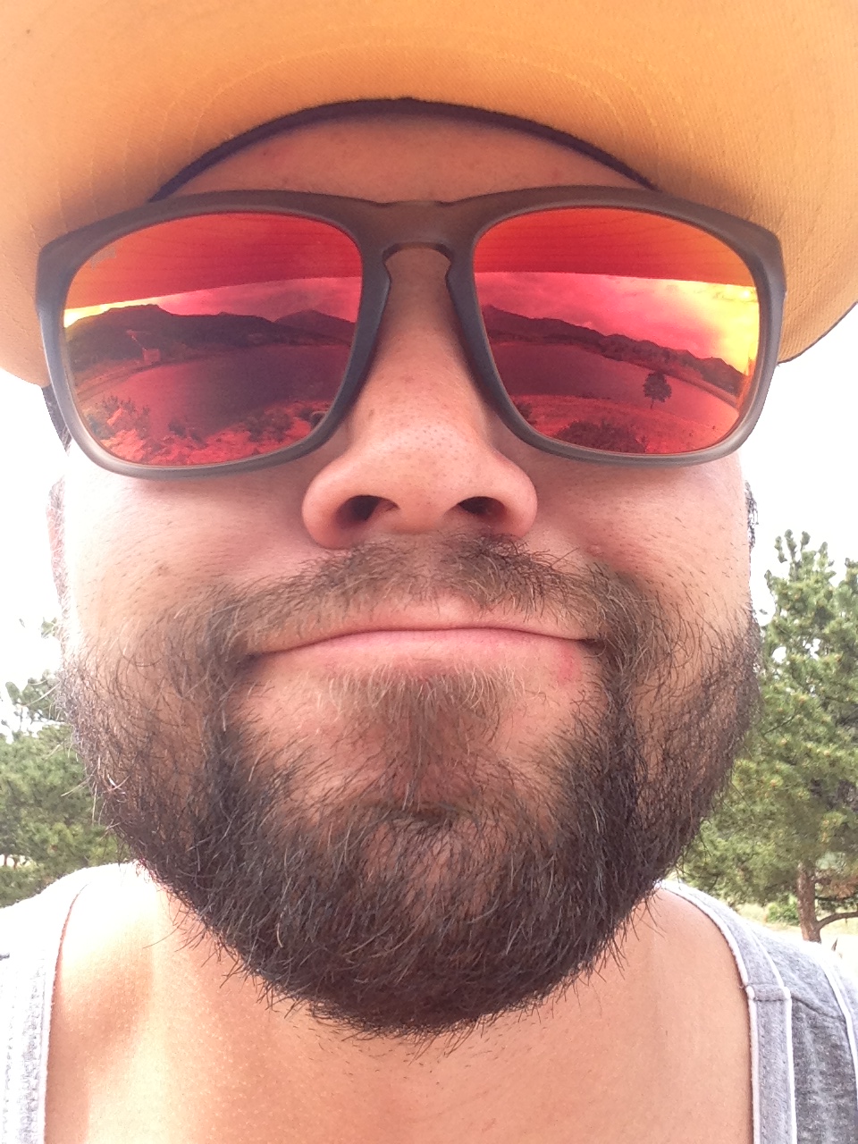 should i buy a pug should i buy polarized sunglasses www panaust au should i buy a pug should i buy polarized sunglasses www panaust au