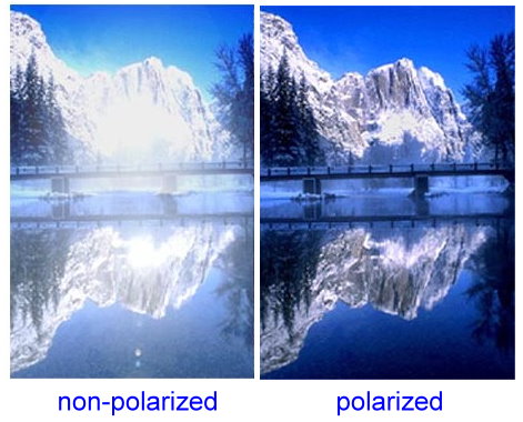 What are polarized sunglasses?