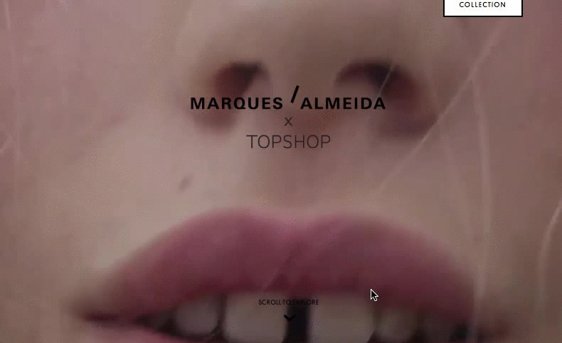 topshop_(1)