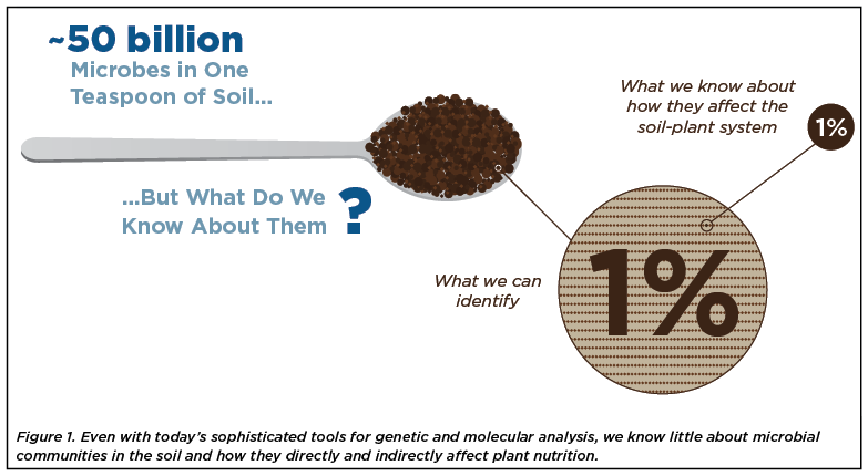 Challenges in a Changing Agricultural Biologicals Market