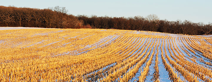 What Is the Value of Your Crop  Residue?