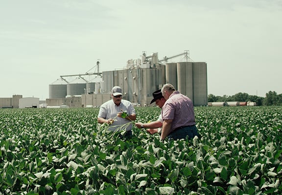 Grower Stories: Carl Lamb, a Third-Generation Farmer from Nebraska