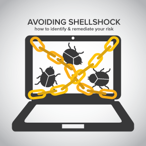 Reduce Your Security Risk from Shellshock