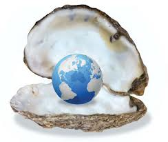 world oyster resized 600
