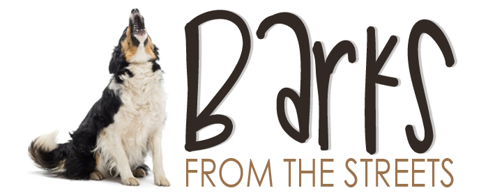barks_from_the_streets