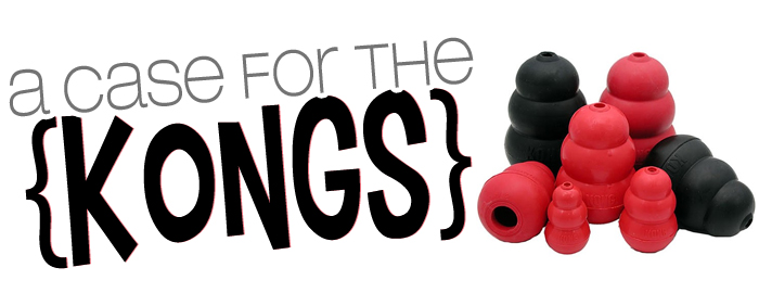 case_for_kongs