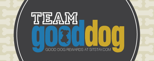 teamgooddogsitsta