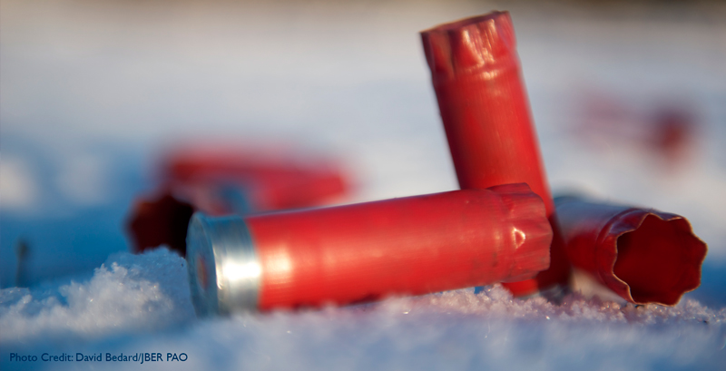 Shotgun Tips: How To Choose Shotgun Shell