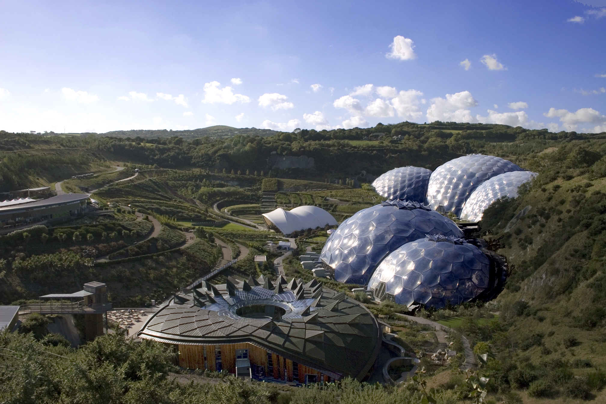 eden project,rubber plant the-eden-project