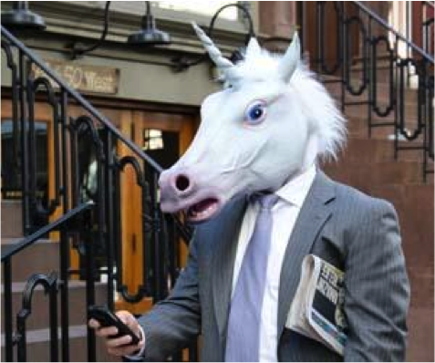 networking_unicorn