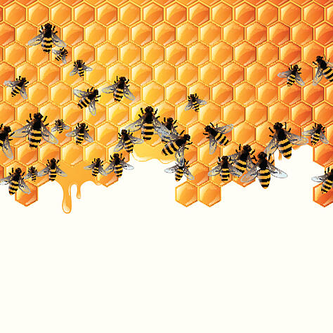busy-bees