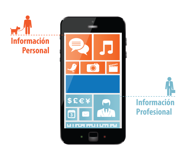 Informacion_Personal_Información_Profesional