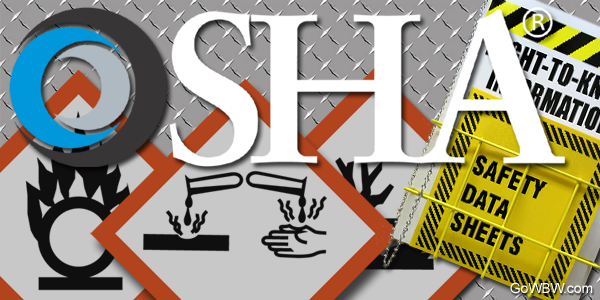 What We Can Expect from OSHA in 2016