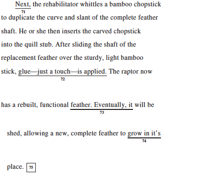 sat and essay questions and reponsibilities sat and essay questions and reponsibilities