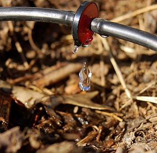 water conservation is one advantage of drip irrigation in commercial landscaping water conservation is one advantage of drip irrigation in commercial landscaping