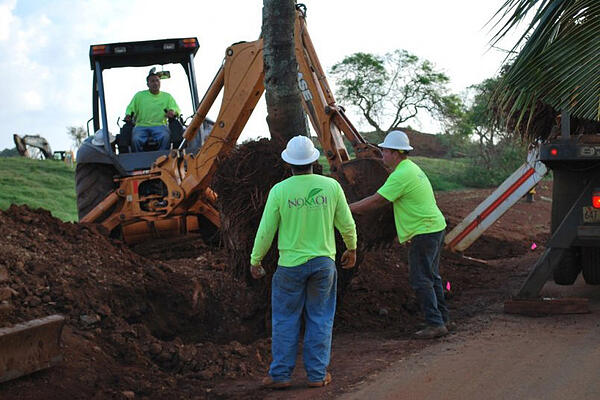 commercial landscaping services in Kauai