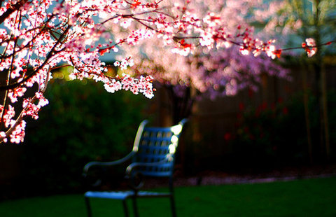 spring-photography-design