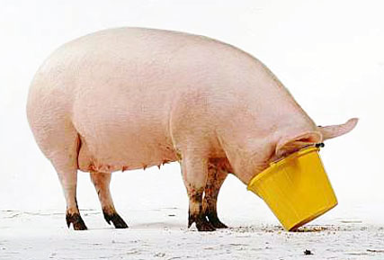 PRAXIS - Transition Solutions