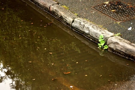 blocked drains are a result of poor stormwater management blocked drains are a result of poor stormwater management