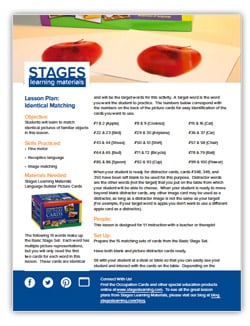Identical Matching Lesson Plan