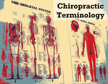 chiropractic terminology