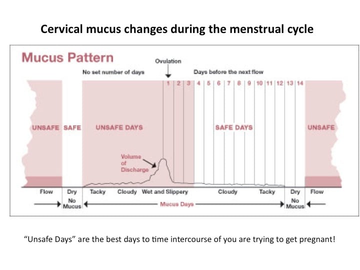 cervical fluid chart