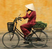 Vietnam Vietnam