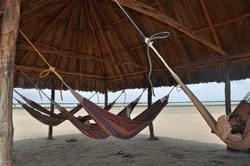Tayrona Tayrona