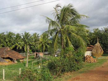 Vietnam Vietnam