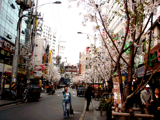 Seoul Seoul